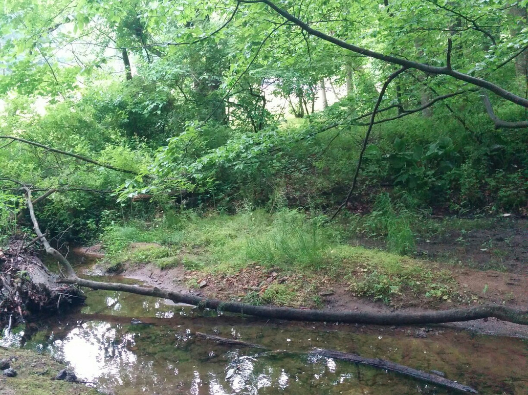 Anson B. Nixon Park-肯尼特斯奎尔必去景点