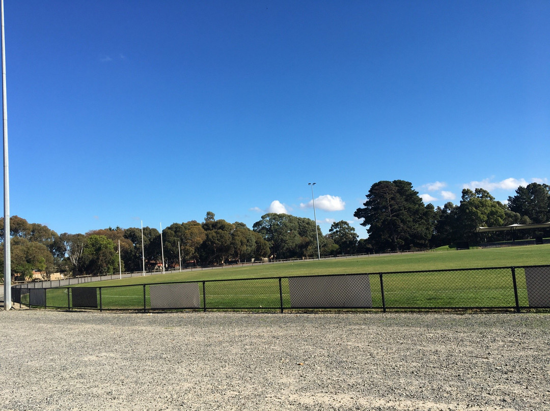 East Burwood Reserve景点图片