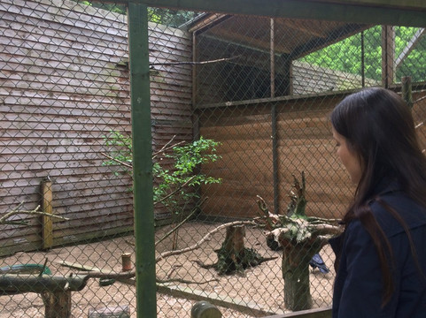 Tierpark Tannenbusch