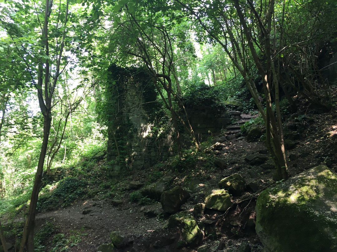 Valnogaredo旅游景点-Cascata Schivanoia