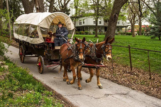 Pioneer Trails Adventures-Independence必去景点