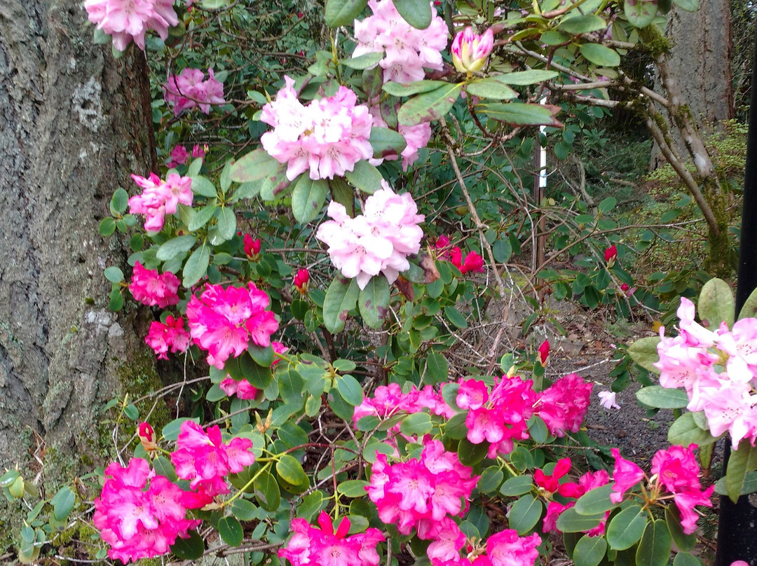 Jenkins Estate-比弗顿必去景点