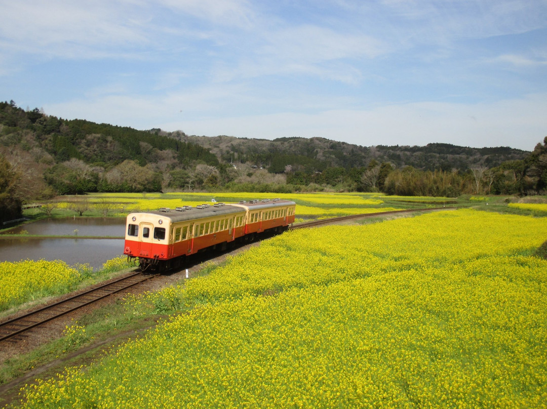 Ishuigami no Nanohana Batake-市原市必去景点