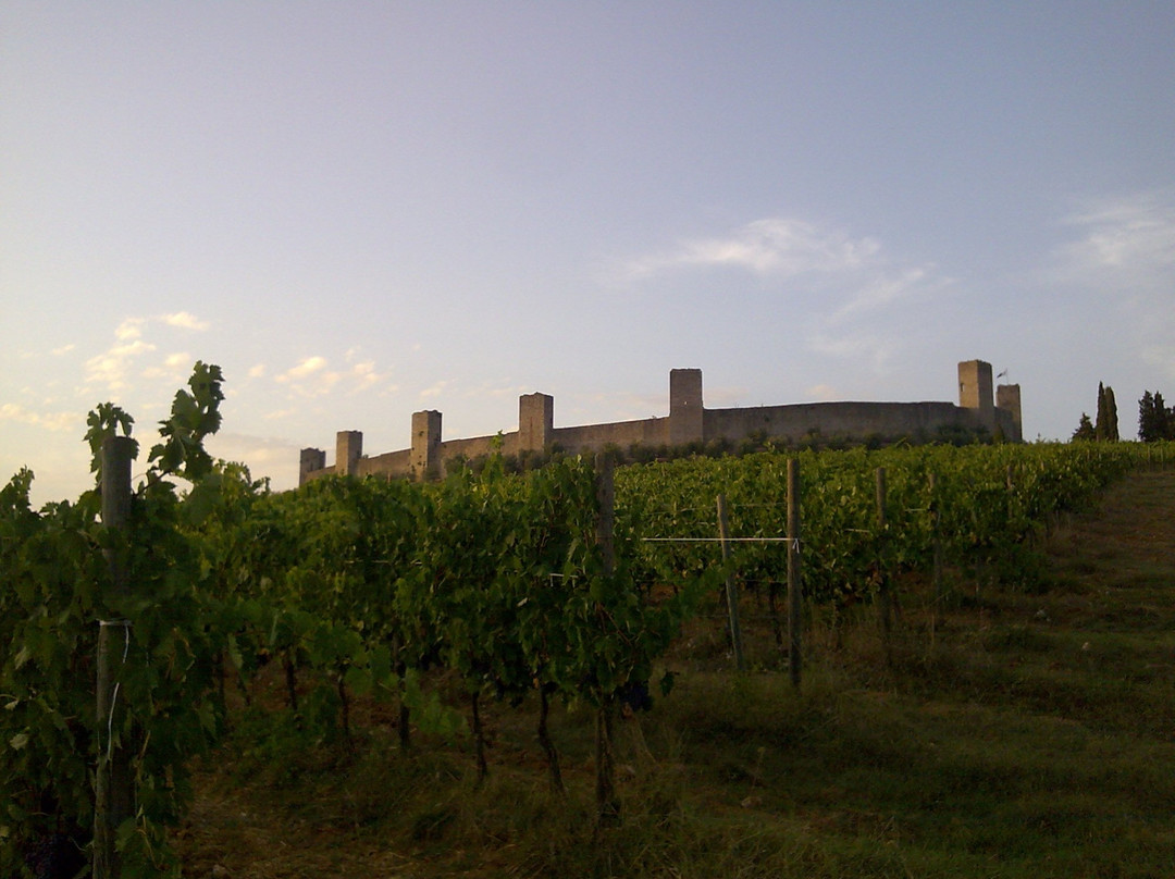 Fattoria Castello di Monteriggioni - Wine Shop景点图片