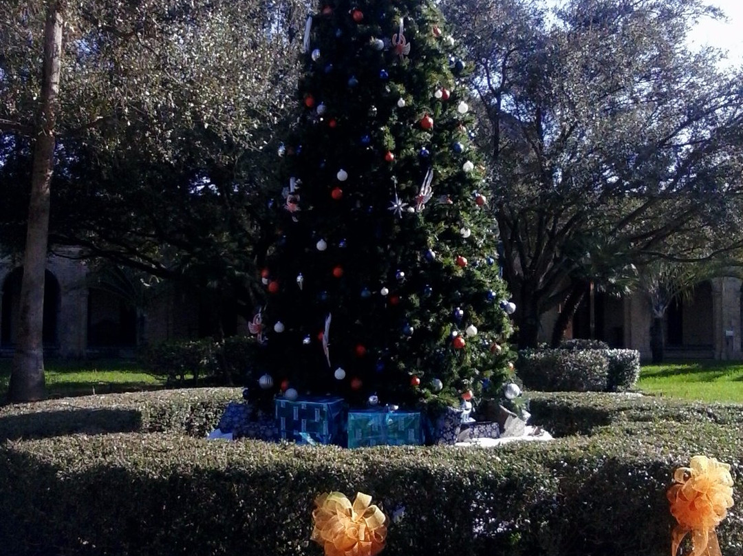 Fort Brown-布朗斯维尔必去景点