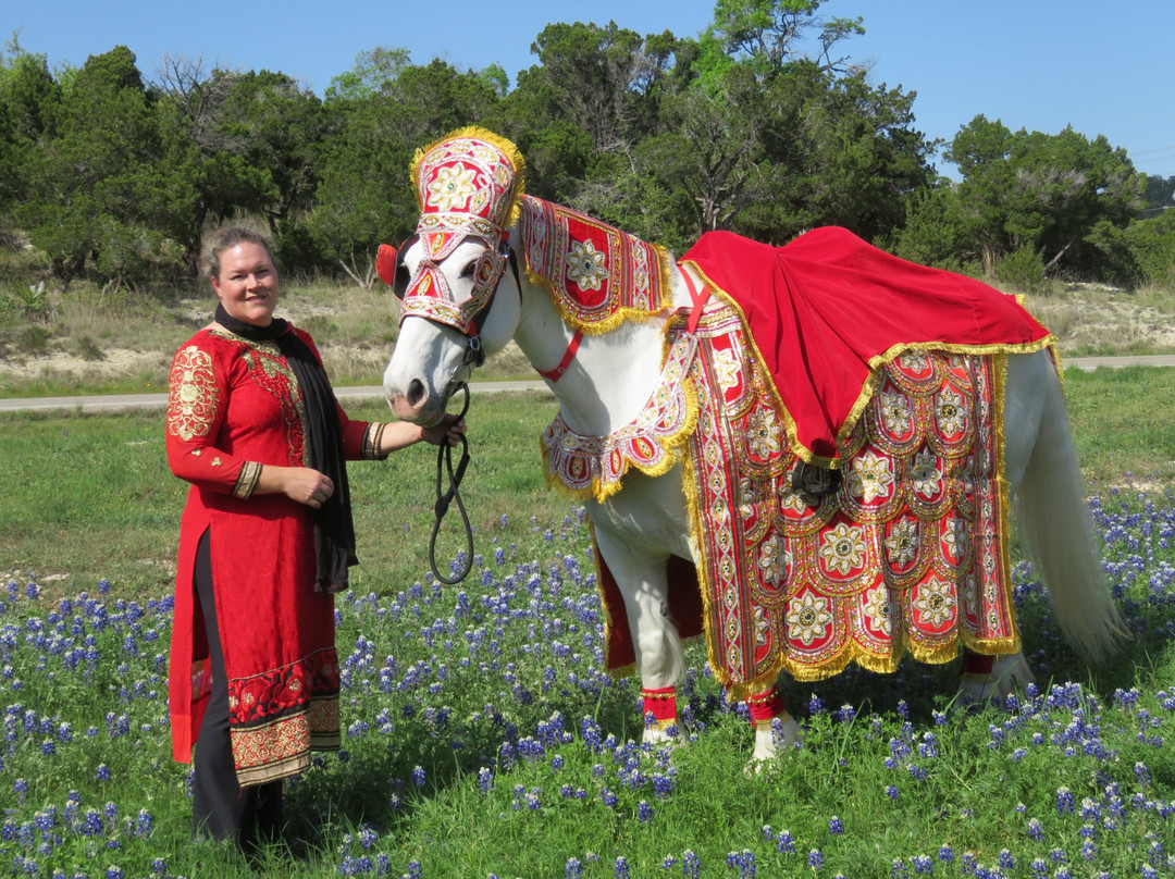 Fantasia Carriage-Lago Vista必去景点
