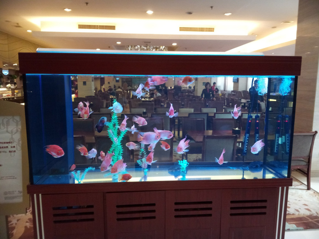 潍坊金庆国际酒店主图