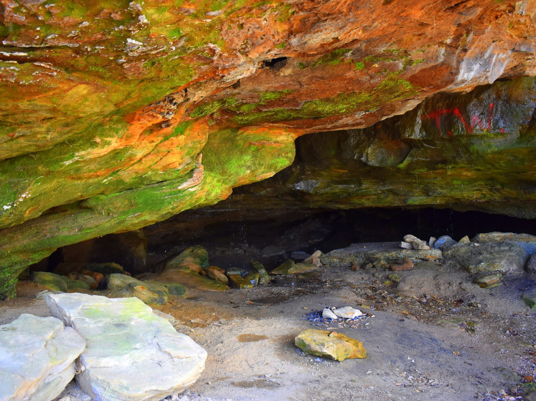 Shanty Hollow Lake Hiking Trail-鲍灵格林必去景点