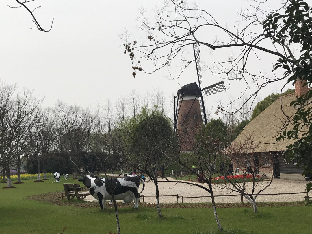 绿博园-南京市必去景点