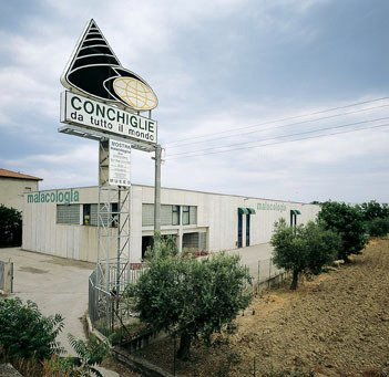 Malacological Museum Piceno景点图片