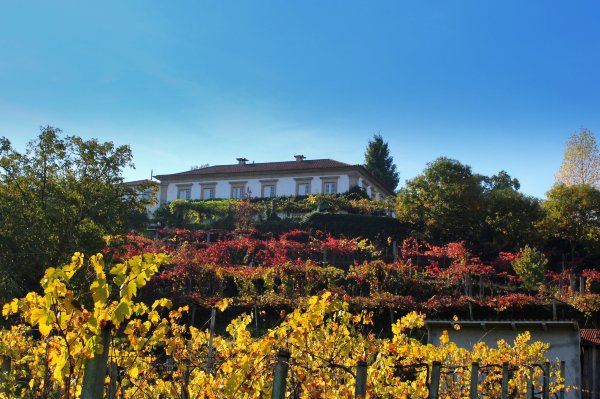 大瓦尔泽亚之家-浴室