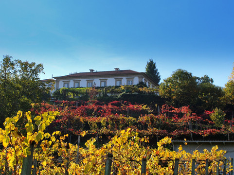 Gandra酒店住宿-Casa da Varzea