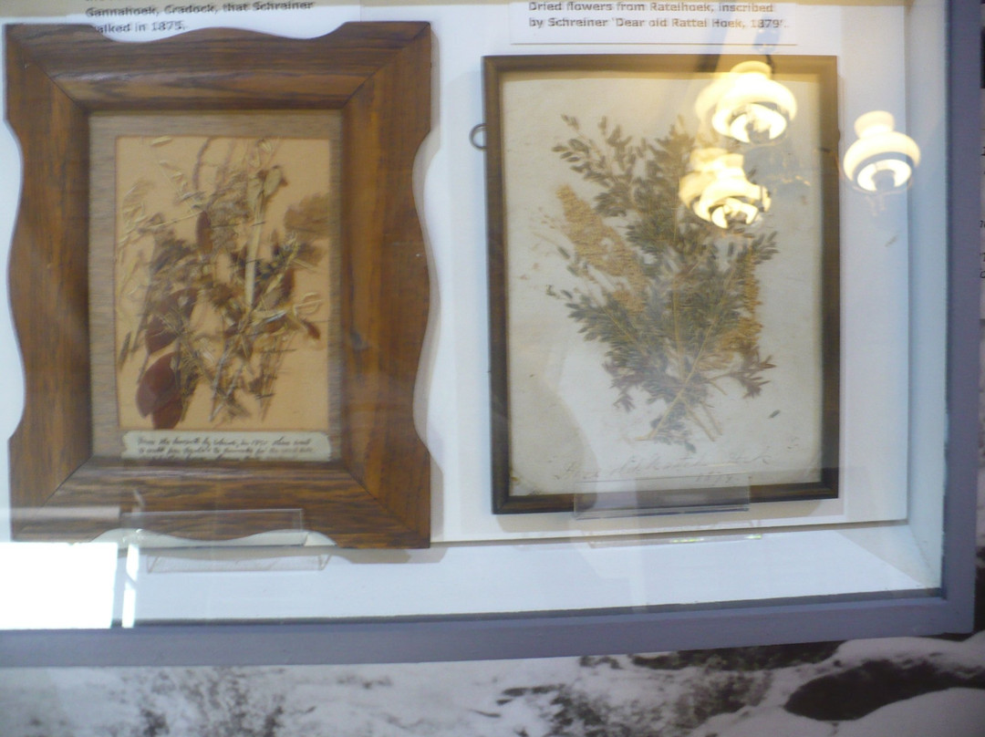 Schreiner House Museum景点图片