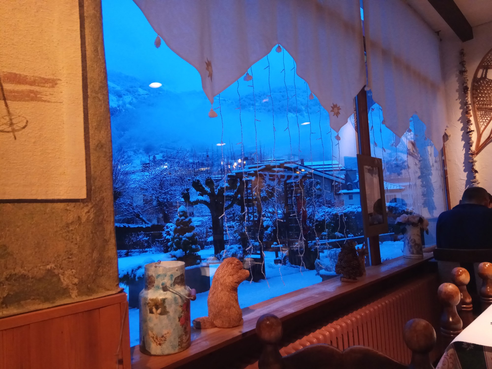 Hotel des Alpes-餐饮