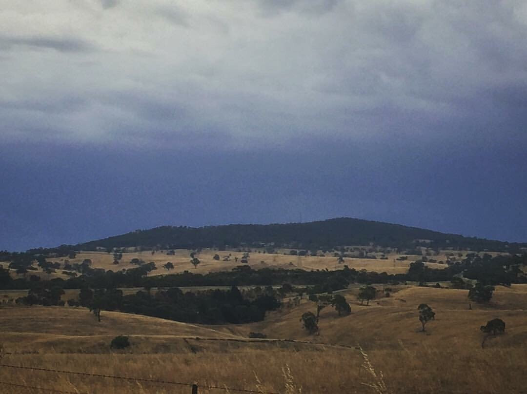 Ngeringa Vineyards景点图片