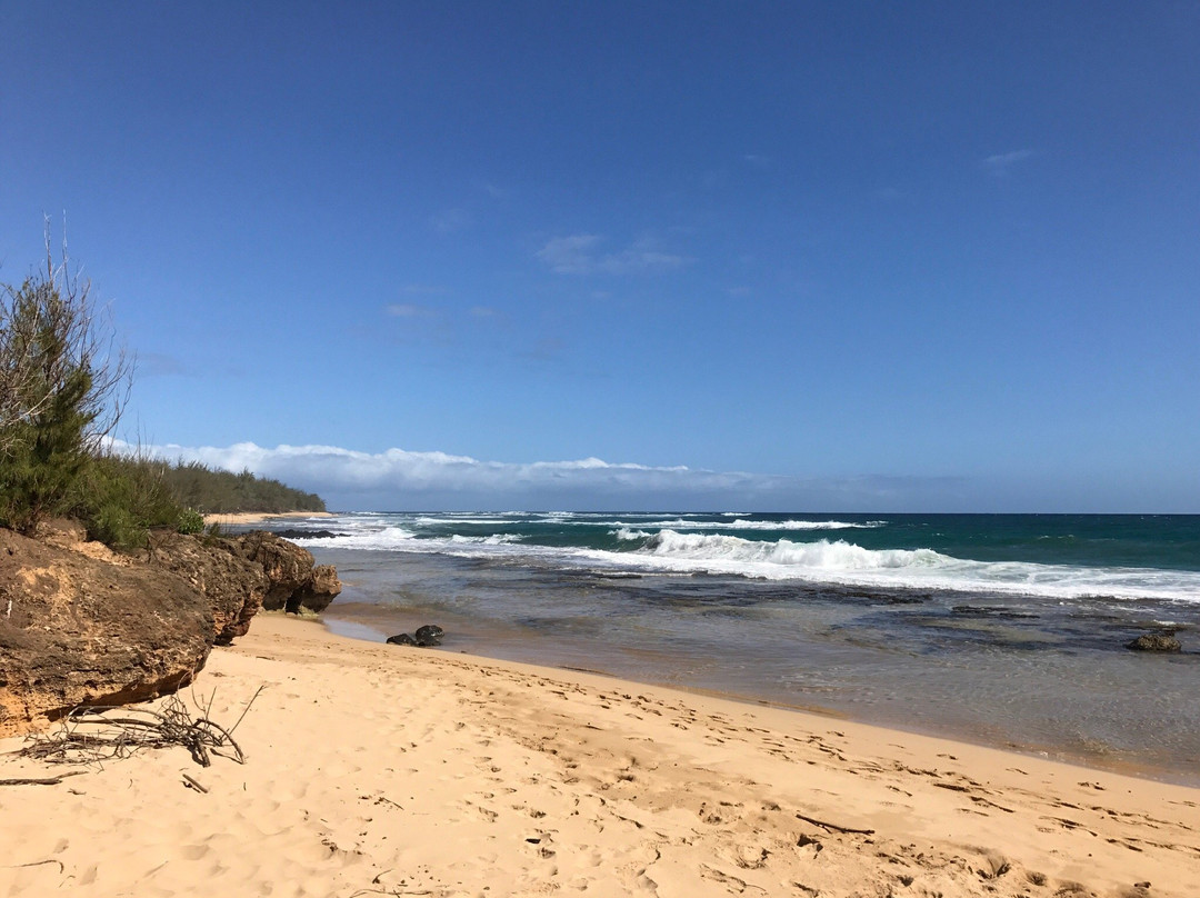 Mahaulepu Beach-坡伊普必去景点