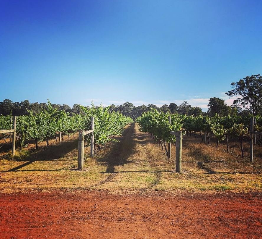 Brygon Reserve Wines景点图片