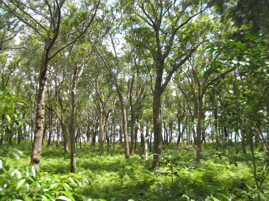 Karuah旅游攻略图片