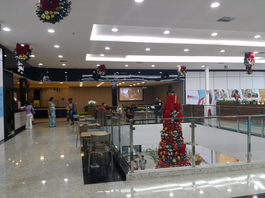 Barra Center Shopping景点图片