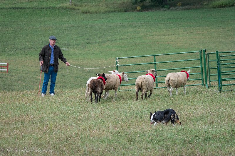 Badlands Sno Park-Hudson必去景点