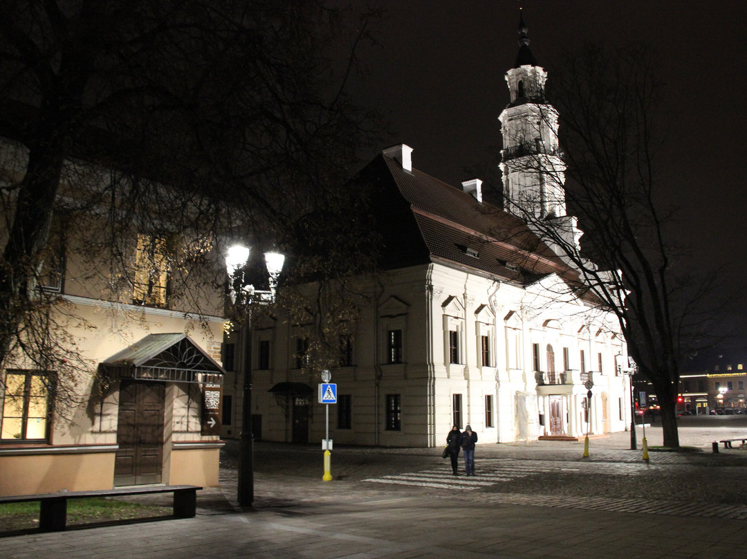 Kaunas Town Hall景点图片