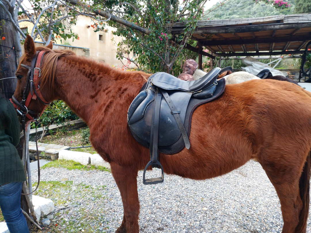 Kinsterna Hotel主图