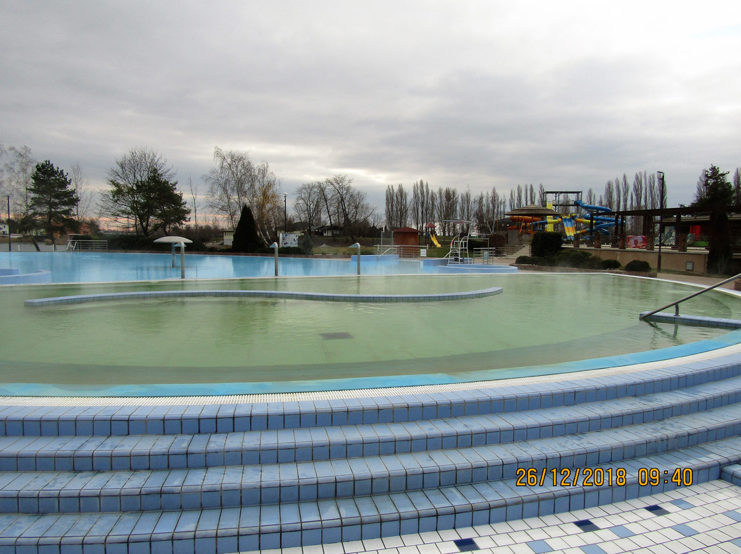 Thermalpark Dunajska Streda-Dunajska Streda必去景点