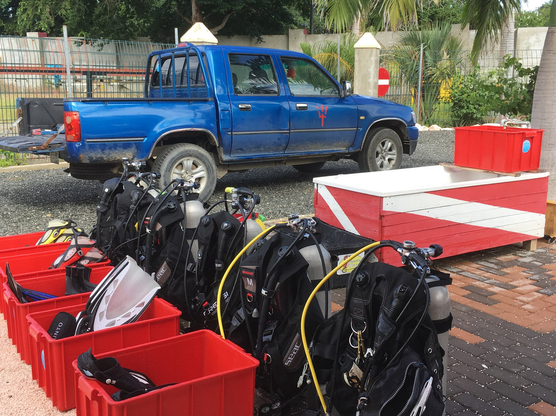 Central Dive Curacao-威廉斯塔德必去景点