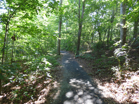 Rocky Branch Natural Area-Little Mountain必去景点