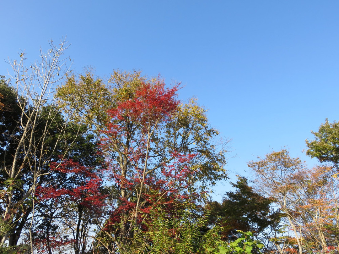 Soyokyo景点图片