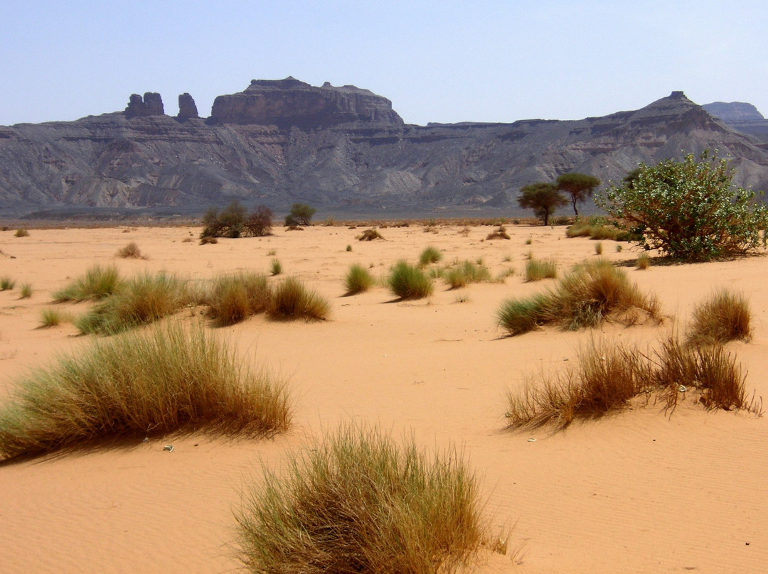 艾卡库斯沙漠景点图片