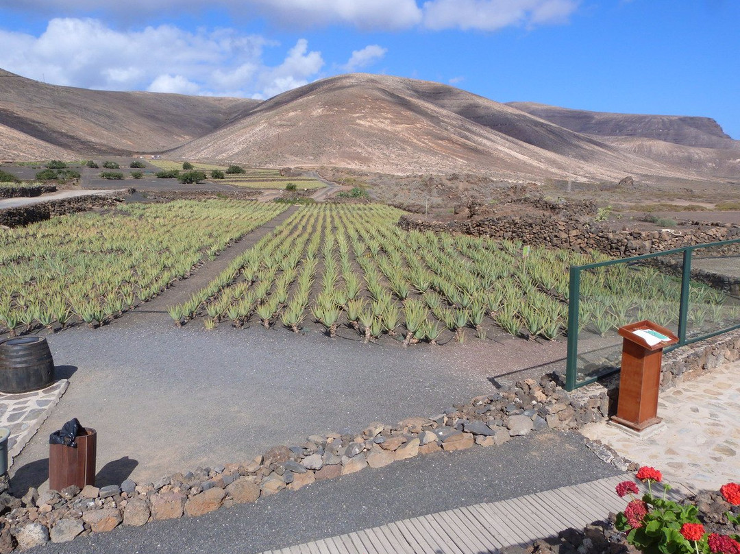 Lanzaloe-兰萨罗特必去景点