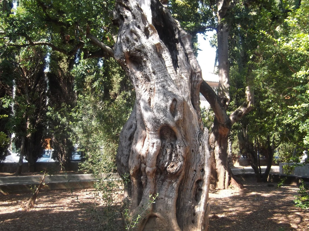 Jardines Joan March y Torre Desbrull-Pollenca必去景点