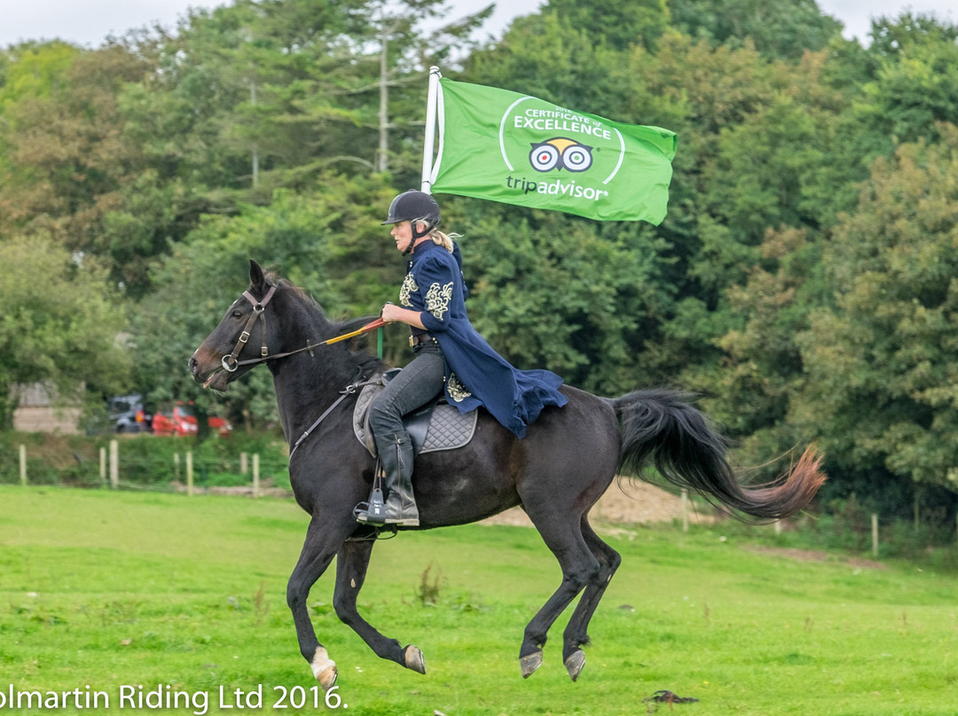 Polmartin Riding Equestrian Site景点图片