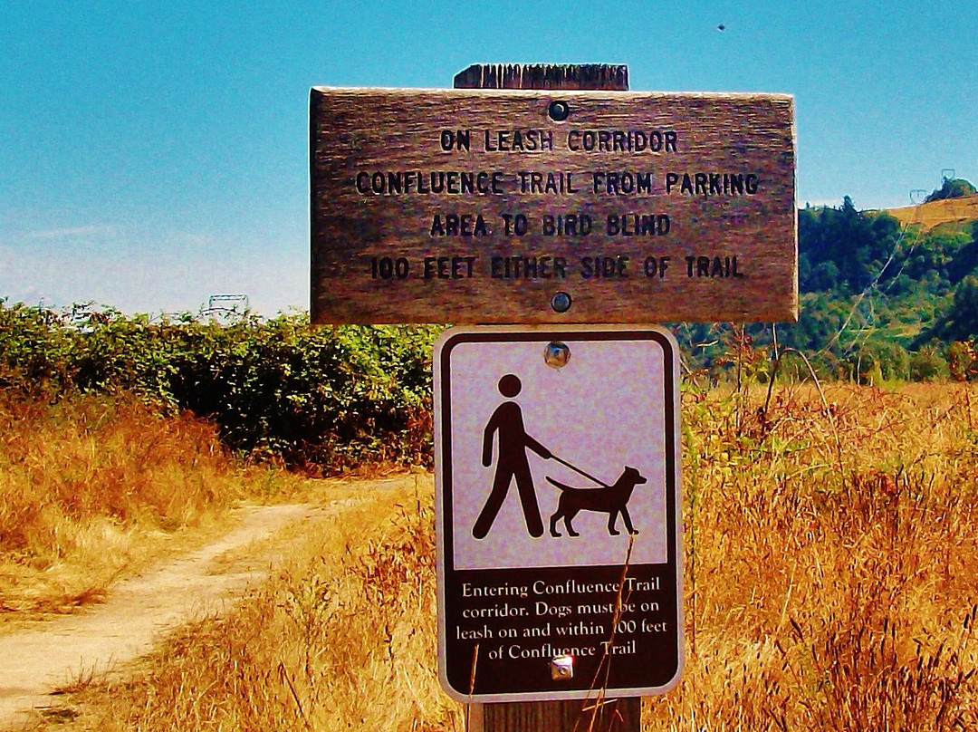 Sandy River Delta Park-劳特代尔必去景点