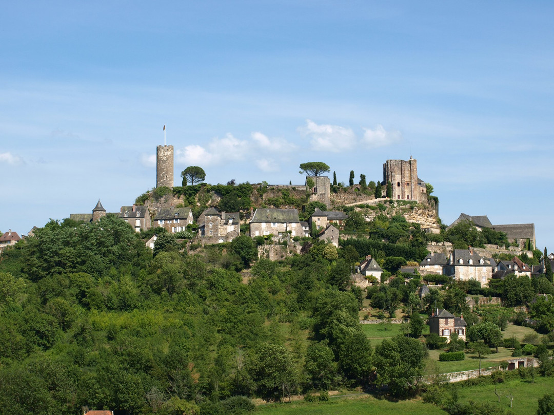Château de Turenne景点图片
