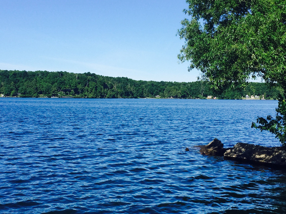 The Sunset Motel主图