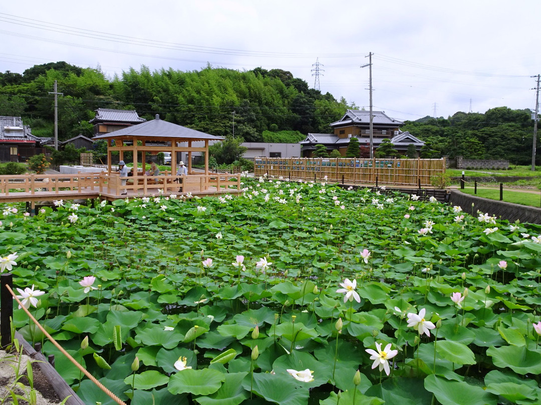 Maihiren no Sato-御坊市必去景点