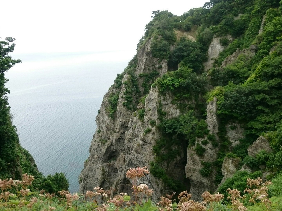 Gimbyobu Observation Spot-室兰市必去景点