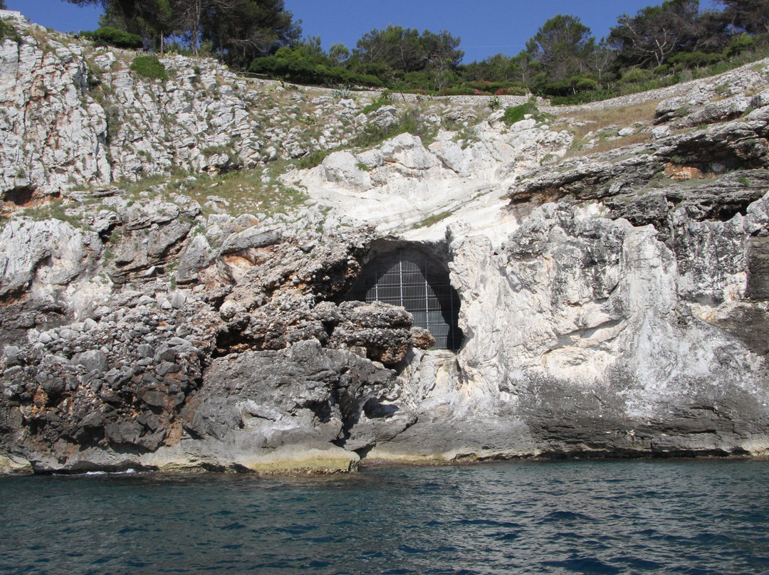 Grotta Romanelli景点图片