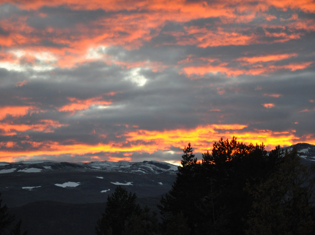 Freebike Norway Adventures-Enebakk Municipality必去景点