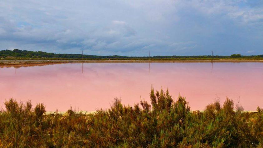 Salinas d'Es Trenc