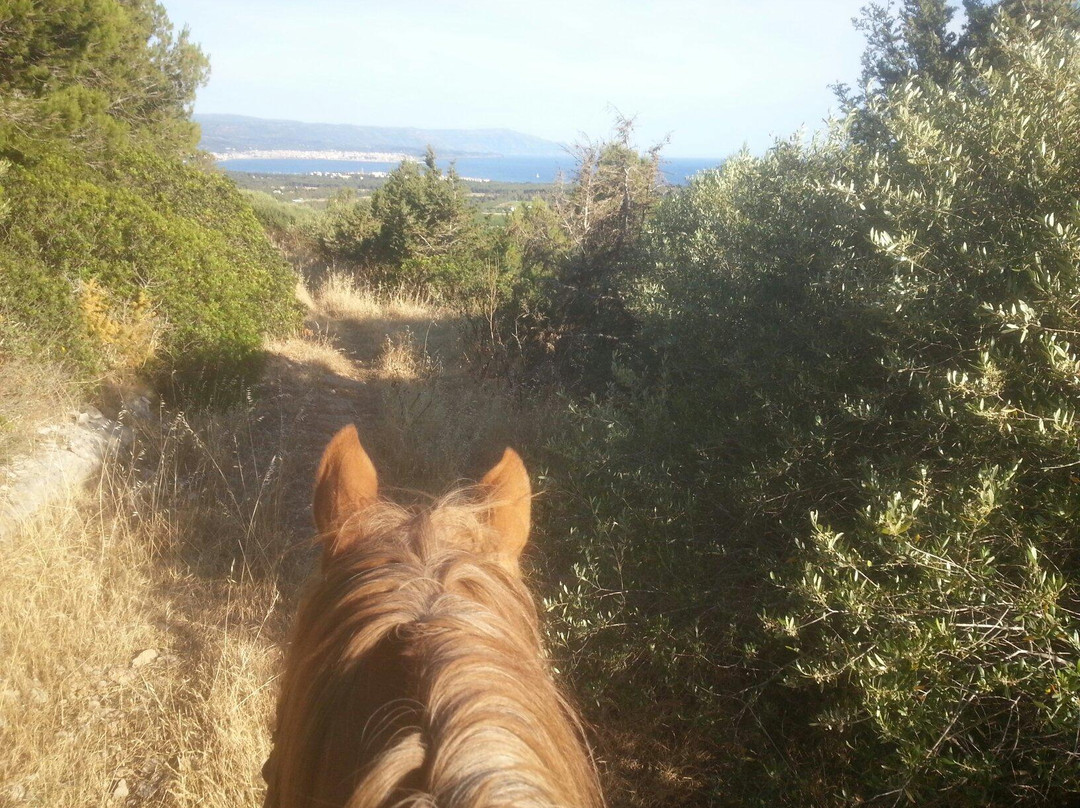 Agripark-阿尔盖罗必去景点
