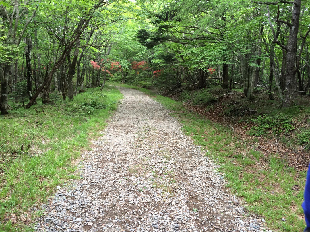 Happogahara-矢板市必去景点