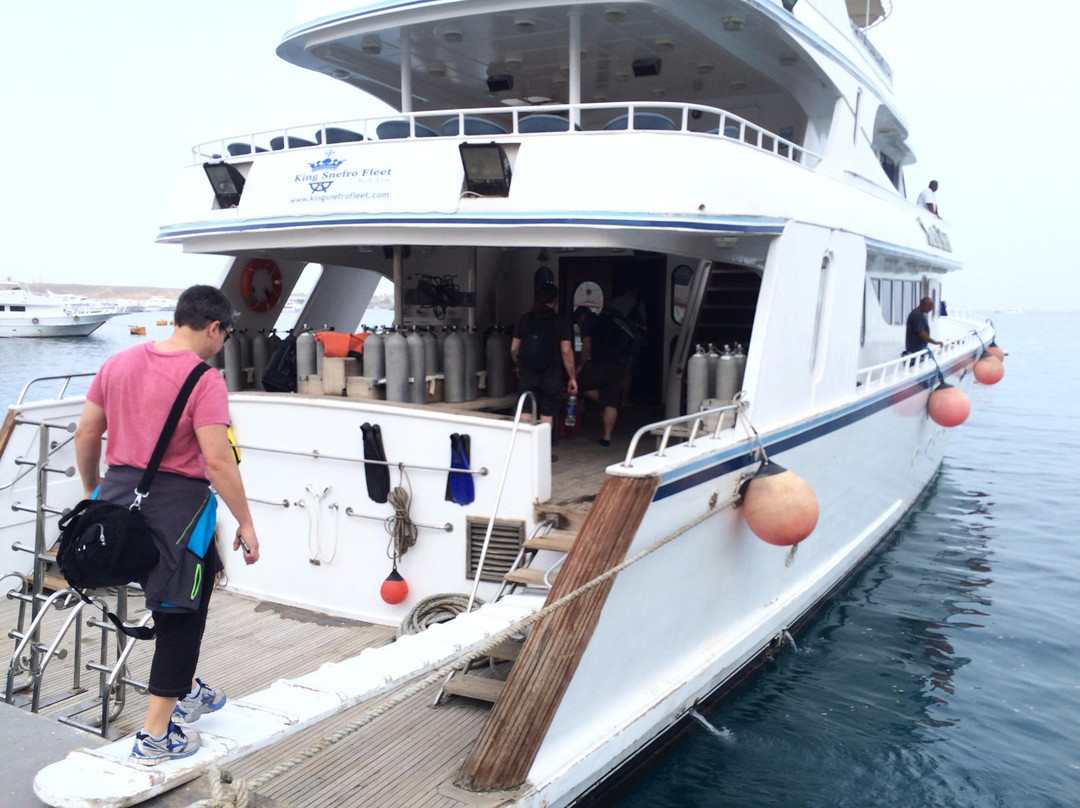 Alpha Dive Centre-斯特兰必去景点