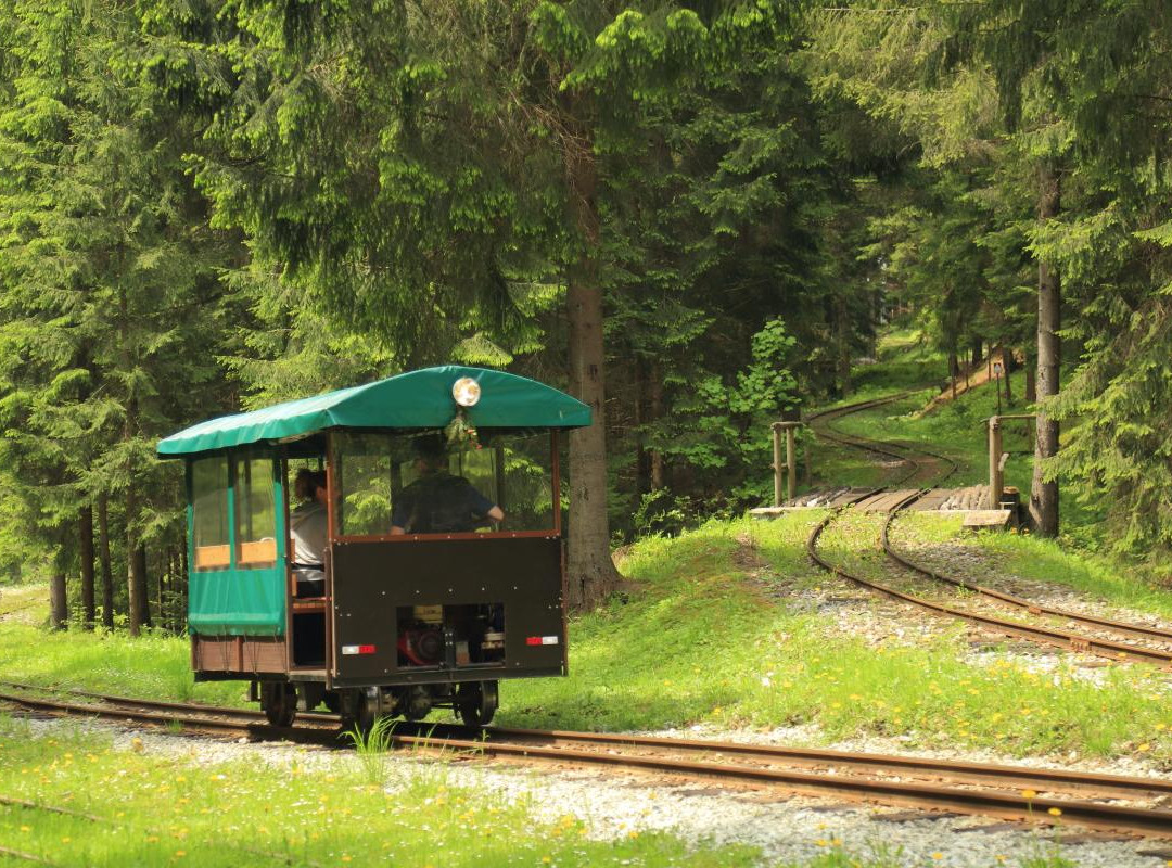 Historical Logging Switchback Railway-Nova Bystrica必去景点