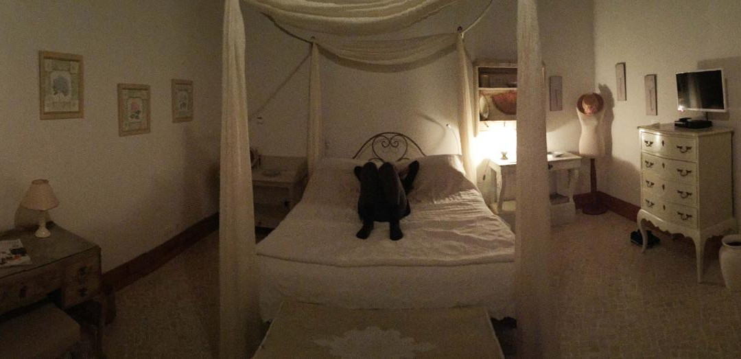 Quinta dos Cavalos主图