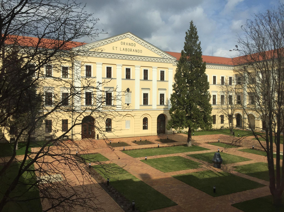 Museum of the Reformed College of Debrecen景点图片