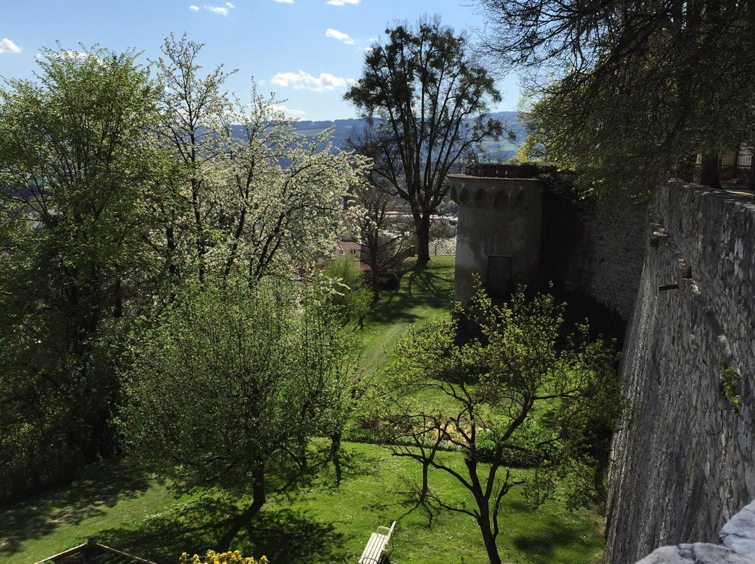 Schloss Wolfsberg景点图片