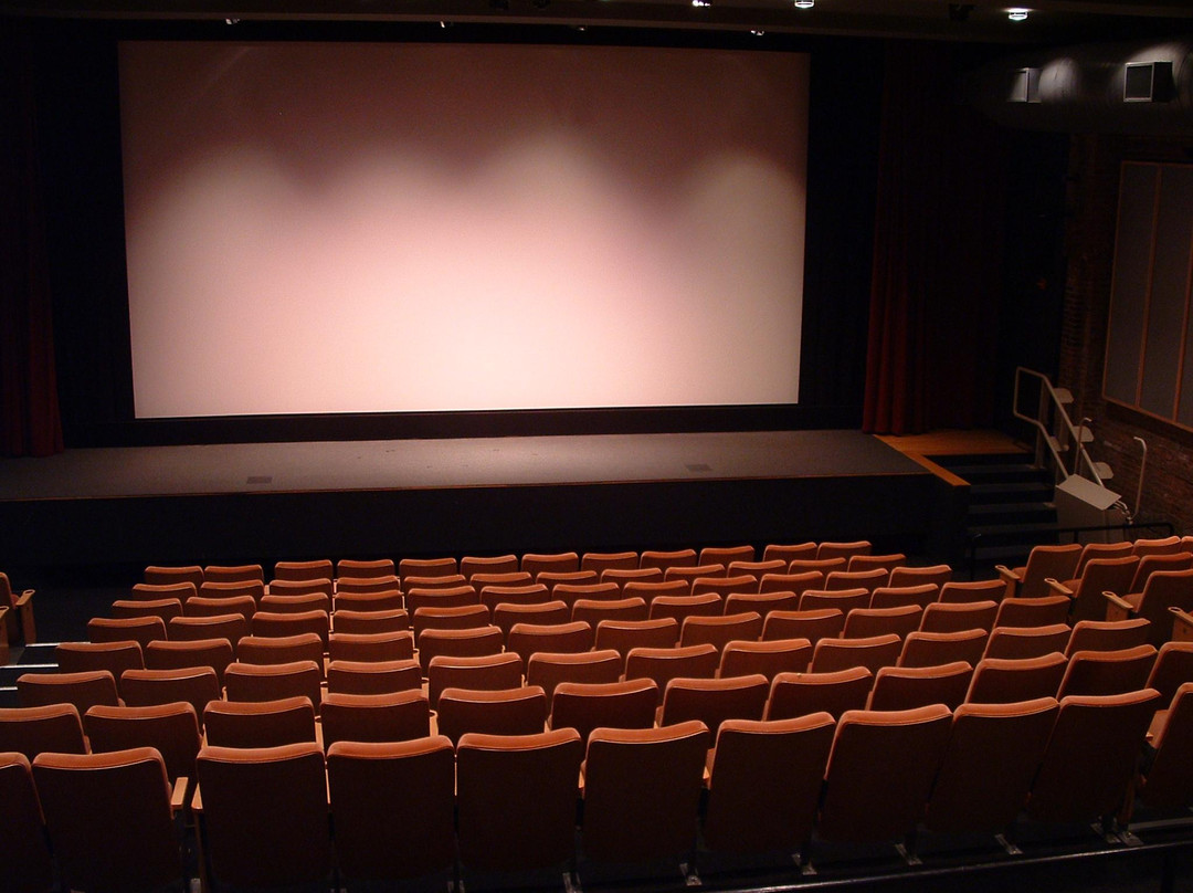 Jacob Burns Film Center景点图片